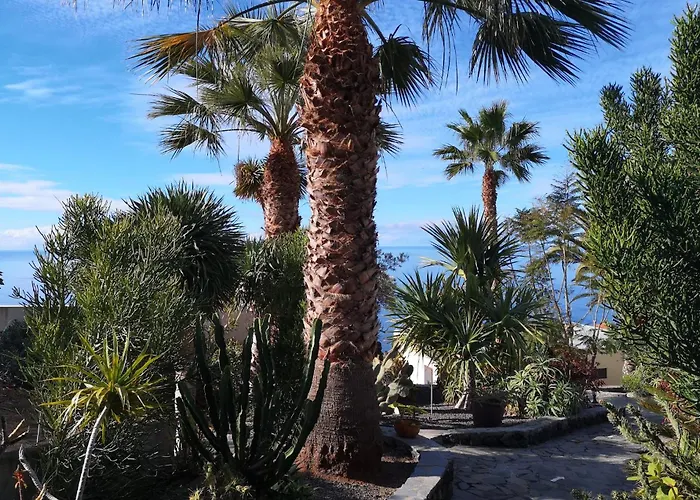 Bungalow Moijama El Drago