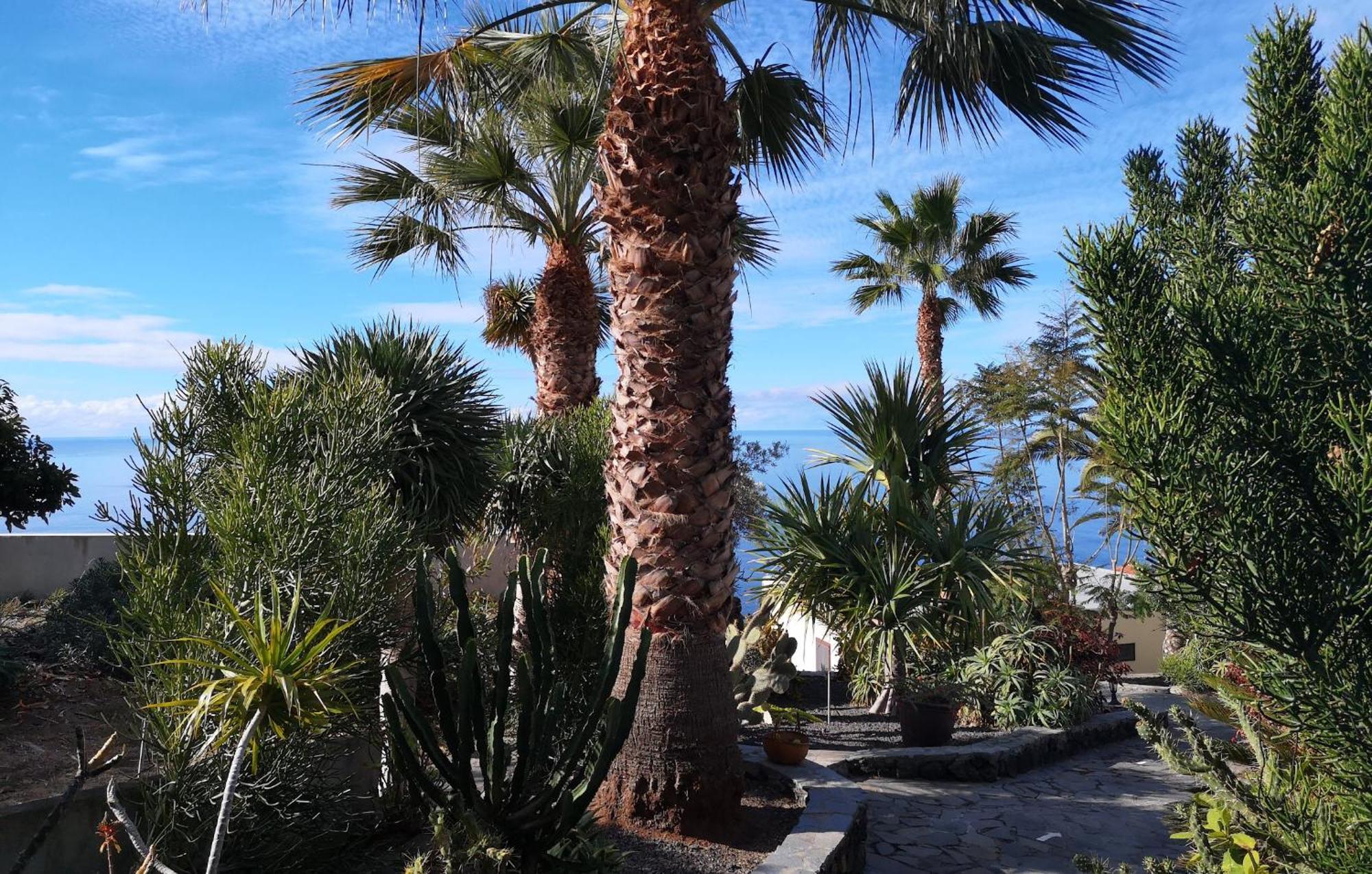 Moijama El Drago Vakantiehuis *